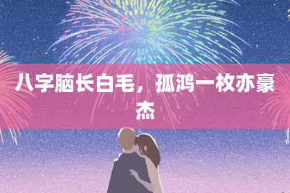 八字脑长白毛，孤鸿一枚亦豪杰