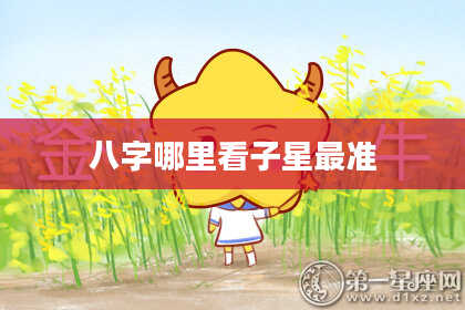 八字哪里看子星最准