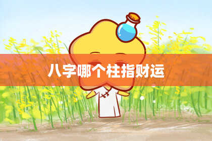 八字哪个柱指财运