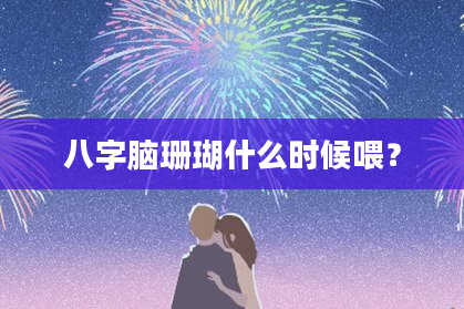 八字脑珊瑚什么时候喂？