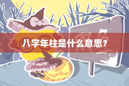 八字年柱是什么意思？