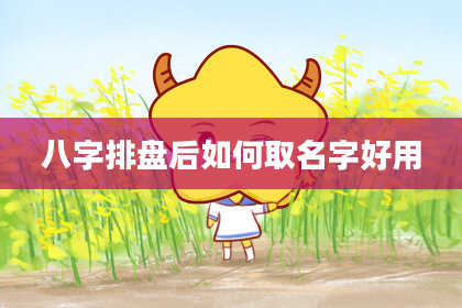 八字排盘后如何取名字好用