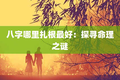 八字哪里扎根最好：探寻命理之谜