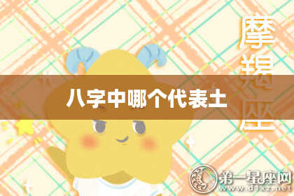 八字中哪个代表土