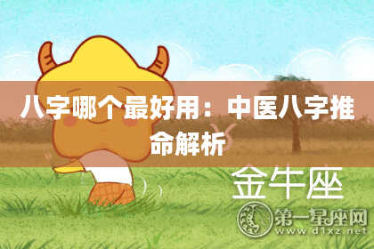 八字哪个最好用：中医八字推命解析