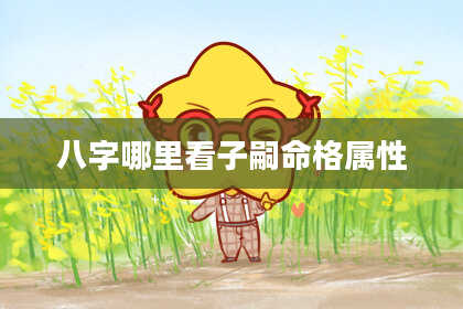 八字哪里看子嗣命格属性