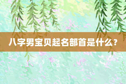 八字男宝贝起名部首是什么？
