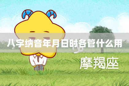 八字纳音年月日时各管什么用