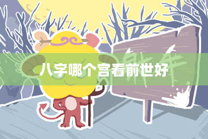 八字哪个宫看前世好