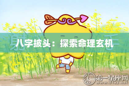 八字披头：探索命理玄机