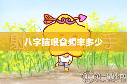 八字脑喂食频率多少