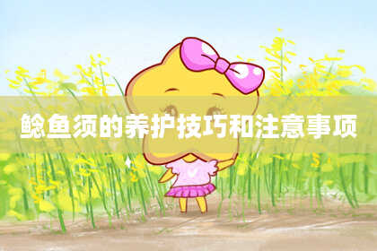 鲶鱼须的养护技巧和注意事项