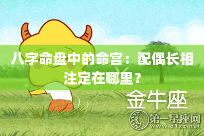 八字命盘中的命宫：配偶长相注定在哪里？