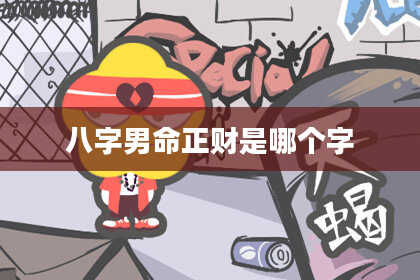 八字男命正财是哪个字