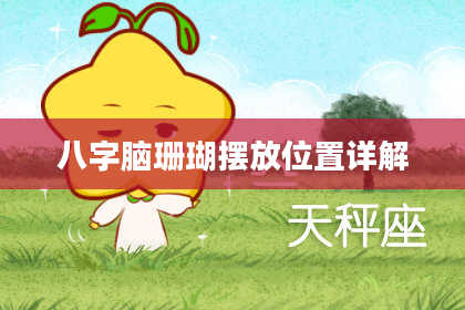 八字脑珊瑚摆放位置详解