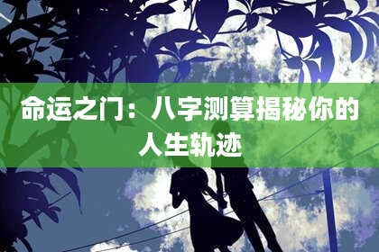 命运之门：八字测算揭秘你的人生轨迹
