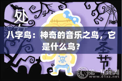 八字鸟:神奇的音乐之鸟,它是什么鸟?