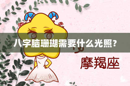 八字脑珊瑚需要什么光照？