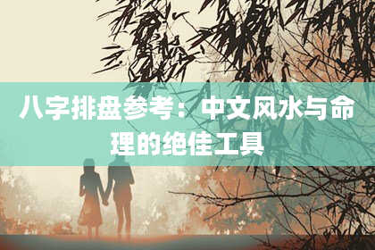 八字排盘参考：中文风水与命理的绝佳工具