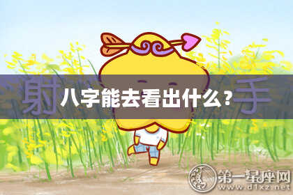 八字能去看出什么？