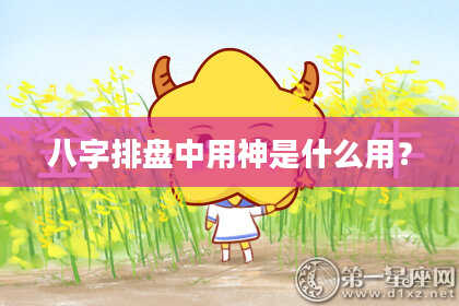 八字排盘中用神是什么用？