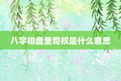 八字排盘里司权是什么意思