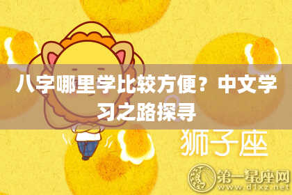 八字哪里学比较方便？中文学习之路探寻
