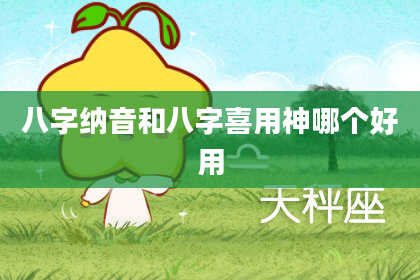八字纳音和八字喜用神哪个好用