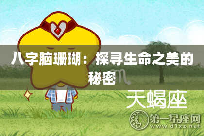 八字脑珊瑚：探寻生命之美的秘密
