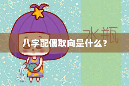 八字配偶取向是什么？