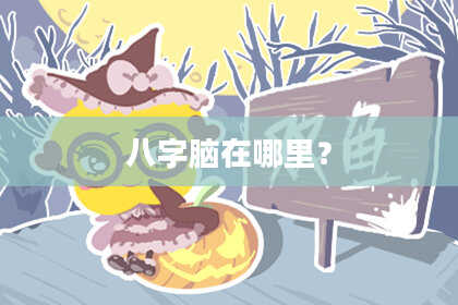 八字脑在哪里？