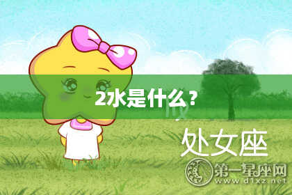 2水是什么？
