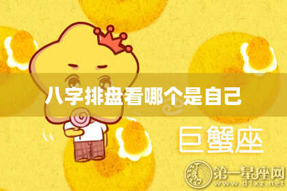 八字排盘看哪个是自己