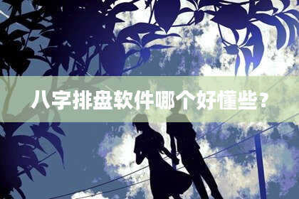八字排盘软件哪个好懂些？