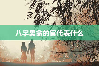 八字男命的官代表什么