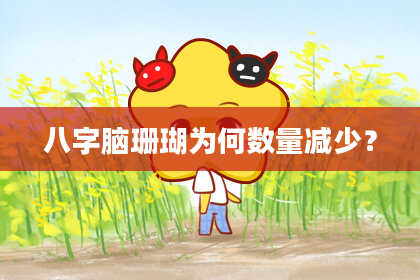 八字脑珊瑚为何数量减少？