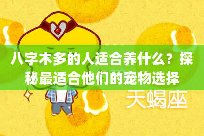 八字木多的人适合养什么？探秘最适合他们的宠物选择