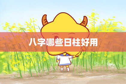 八字哪些日柱好用