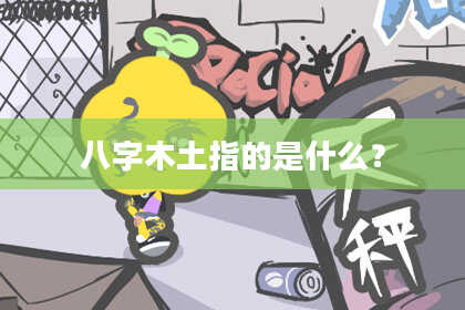 八字木土指的是什么？