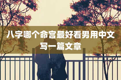 八字哪个命宫最好看男用中文写一篇文章