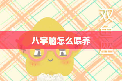 八字脑怎么喂养