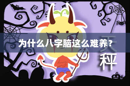 为什么八字脑这么难养？