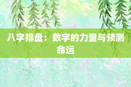 八字排盘：数字的力量与预测命运