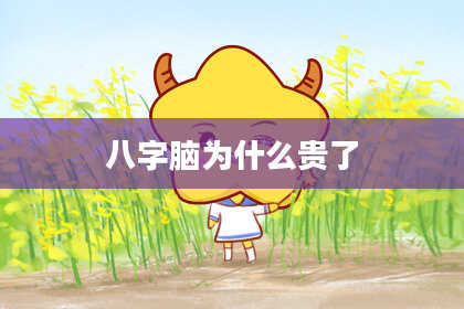 八字脑为什么贵了