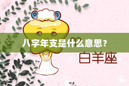 八字年支是什么意思？