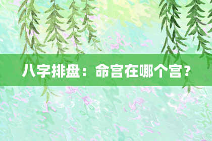 八字排盘：命宫在哪个宫？