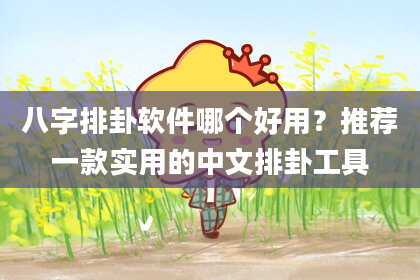 八字排卦软件哪个好用？推荐一款实用的中文排卦工具