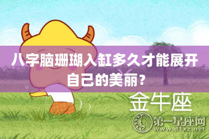 八字脑珊瑚入缸多久才能展开自己的美丽？