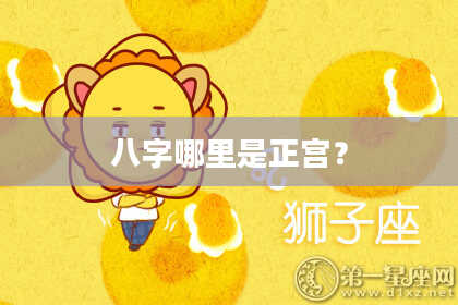 八字哪里是正宫？