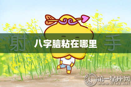 八字脑粘在哪里
